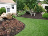 Let us help you design your yard.