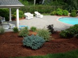 Water efficient landscaping.