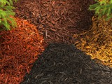 A variety of products to choose from.