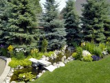 Compliment your water feature.