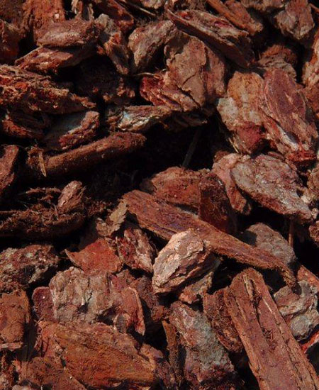 Bark Rock
