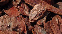 Bark Rock