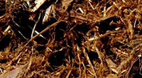 Cedar Hog Fuel