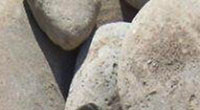 Cobbles