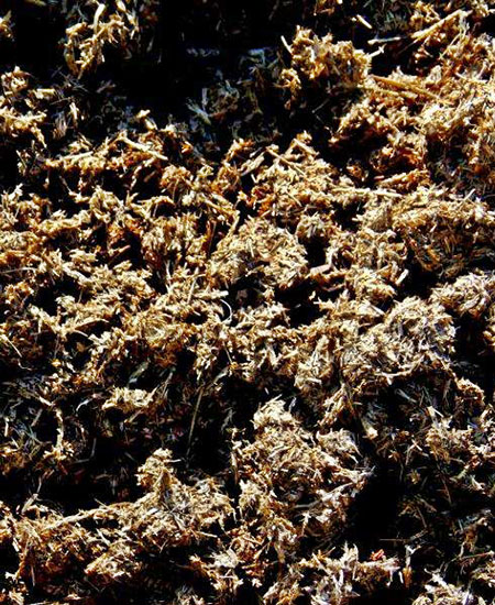 Dairy Compost