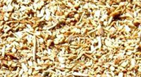 Fir Sawdust