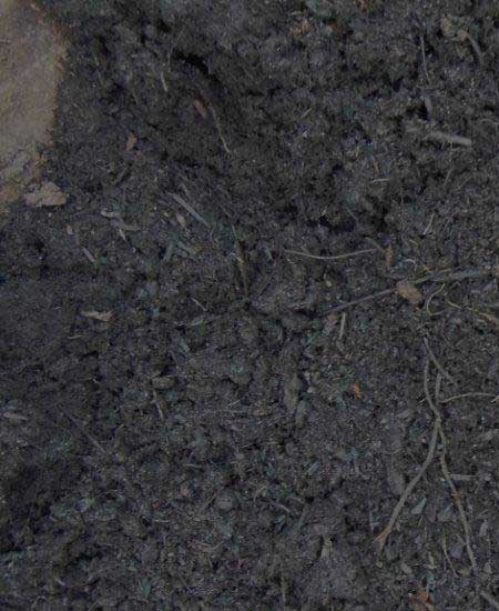 Lawn mix