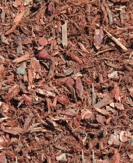 Red Fir