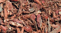 Red Fir